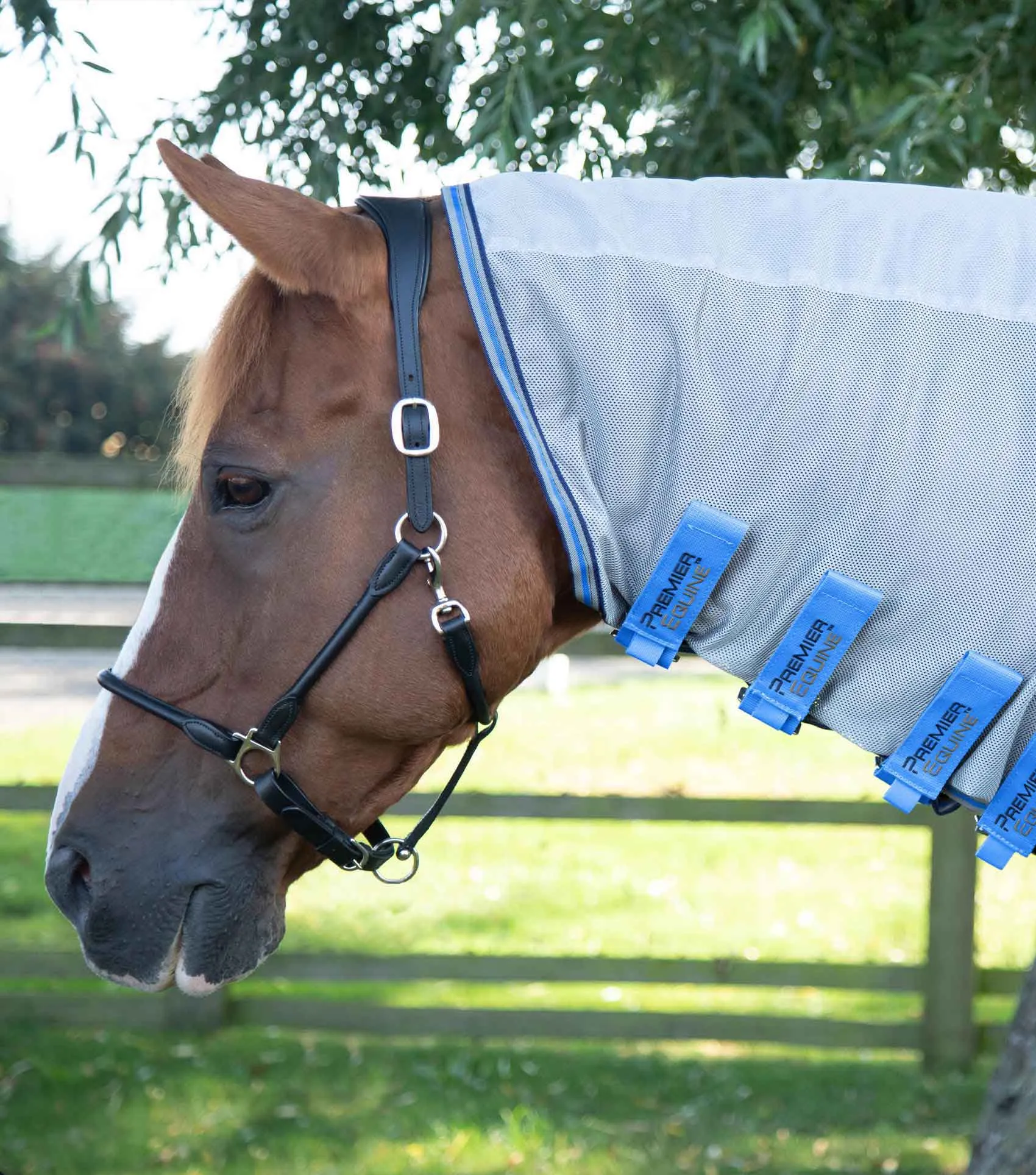 Combo Mesh Air Fly Rug with Surcingles Blue