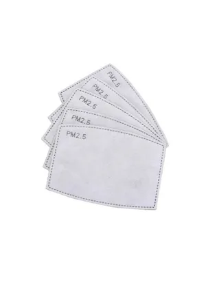 PM 2.5 Mask Filter - 10 Pk - Clearance